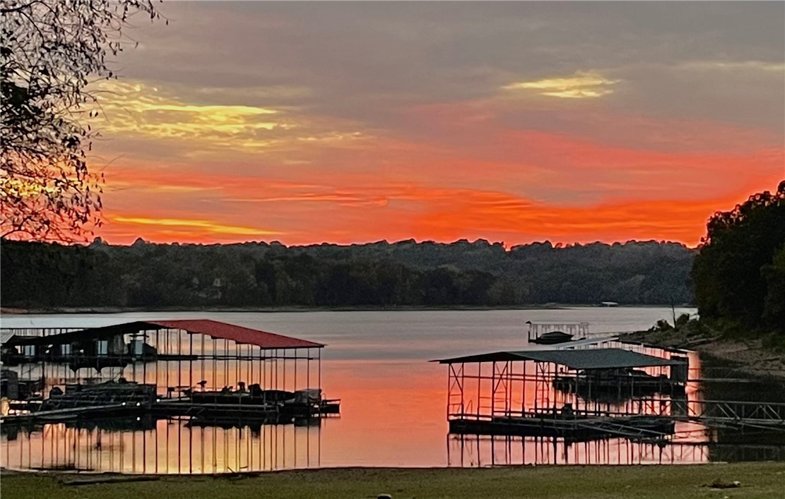 14875 Cedar Tree Road