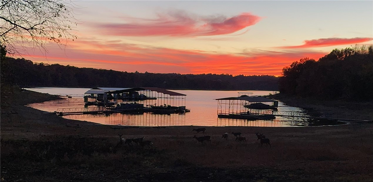 14875 Cedar Tree Road