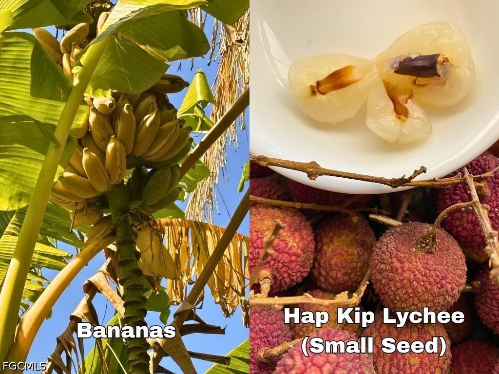 6640 Sunrise LN