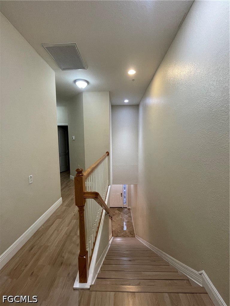 4361 Lazio WAY 903