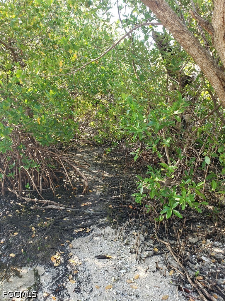 TBD Pirate Landing LN