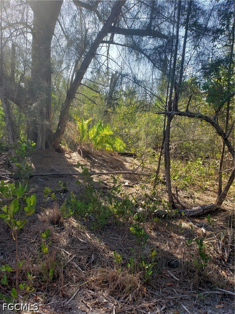 TBD Pirate Landing LN