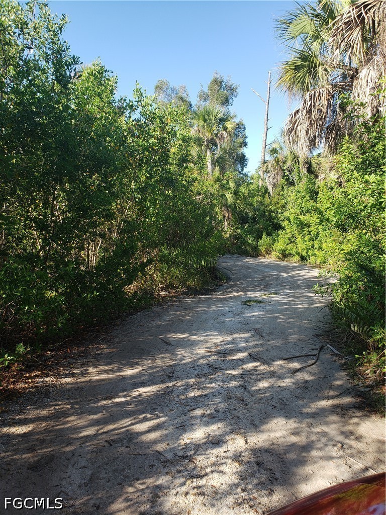 TBD Pirate Landing LN