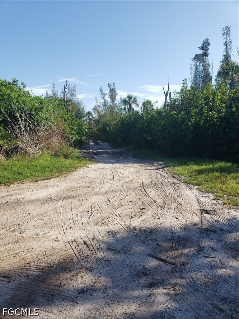TBD Pirate Landing LN