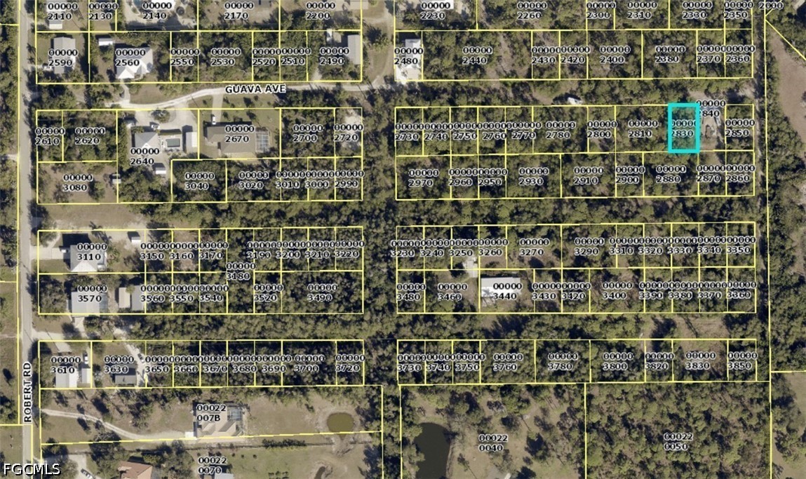 Guava AVE