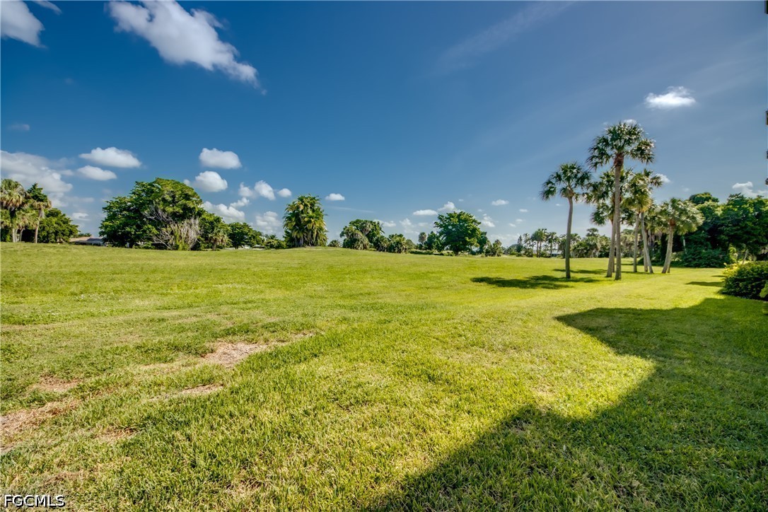 4015 Palm Tree BLVD 202
