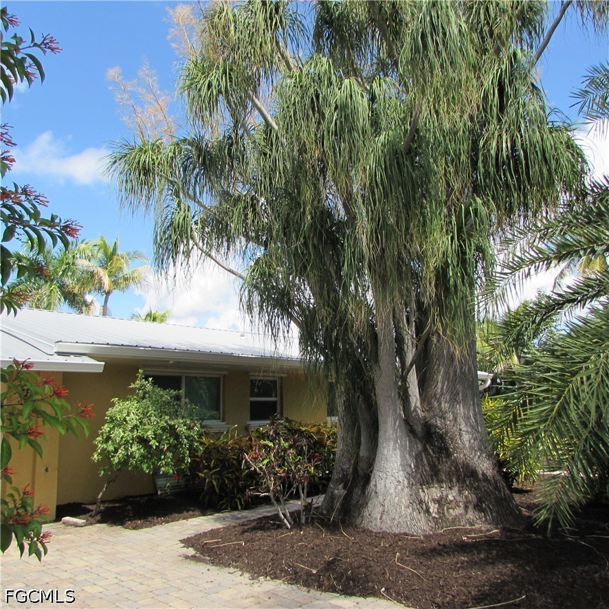 3596 Emerald AVE