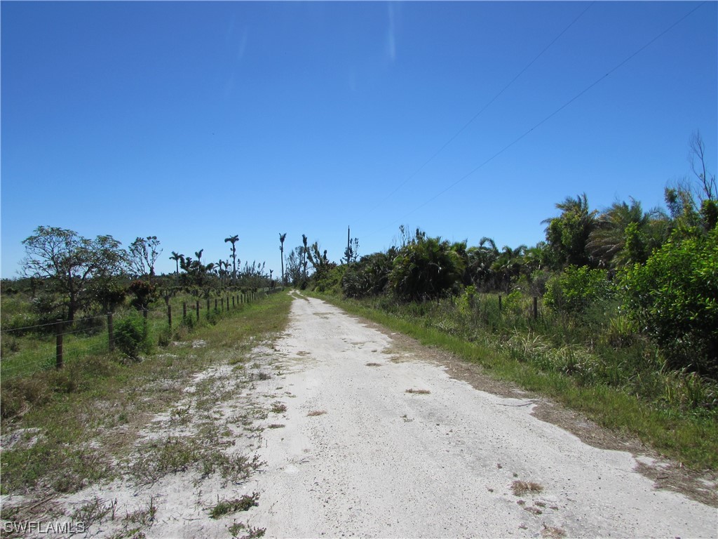 Samadani LN