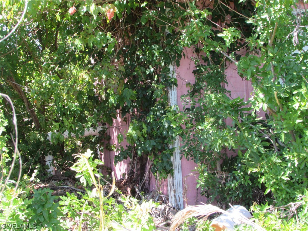 Samadani LN