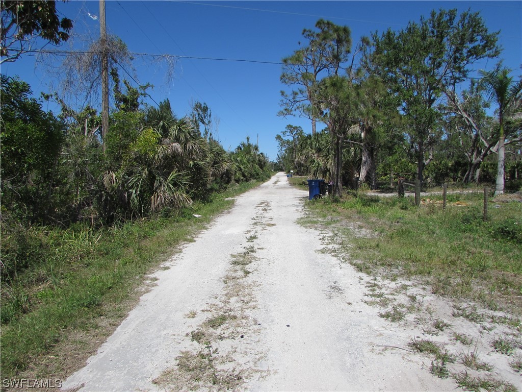Samadani LN
