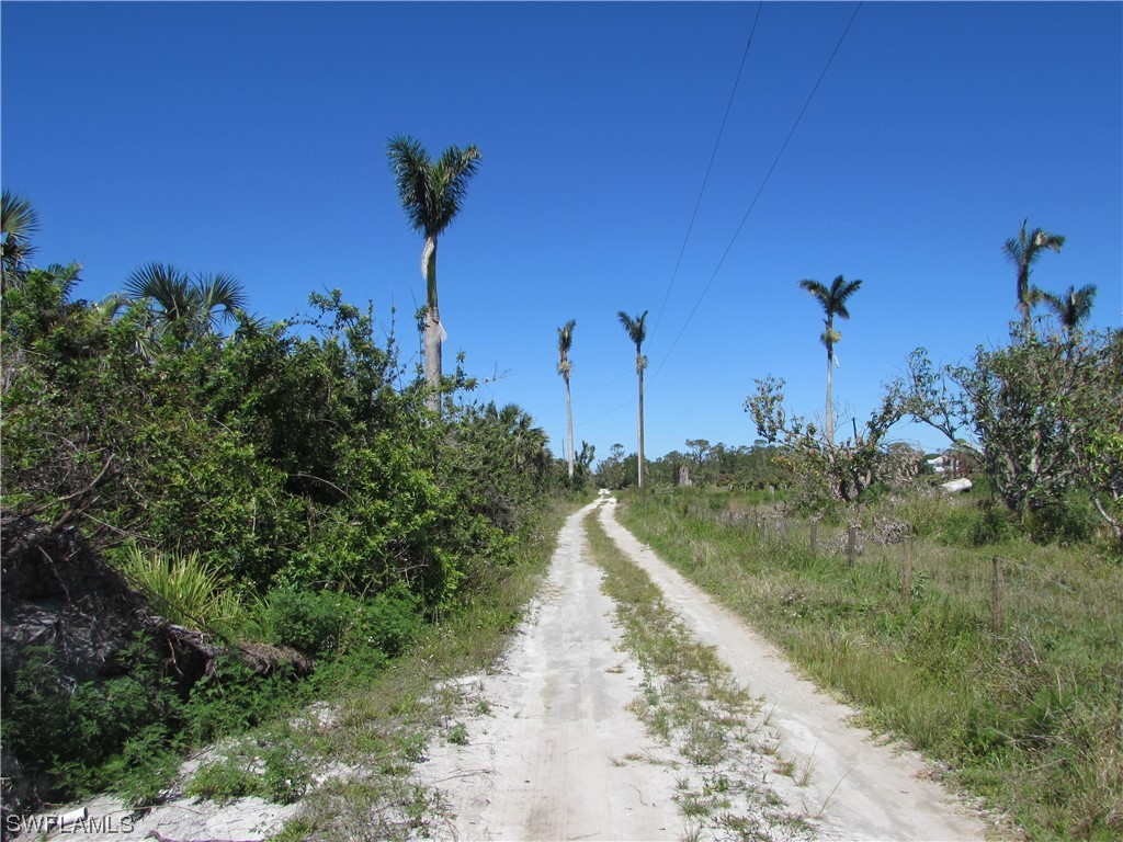 Samadani LN