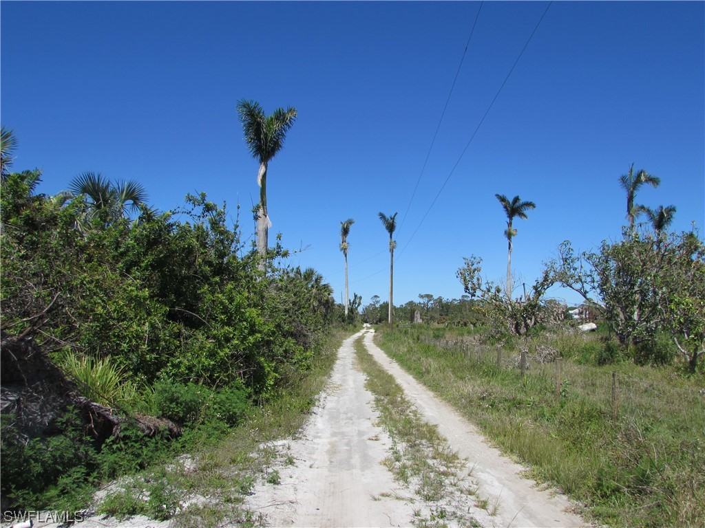 Samadani LN