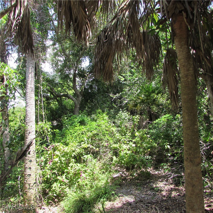 13647 Robert RD
