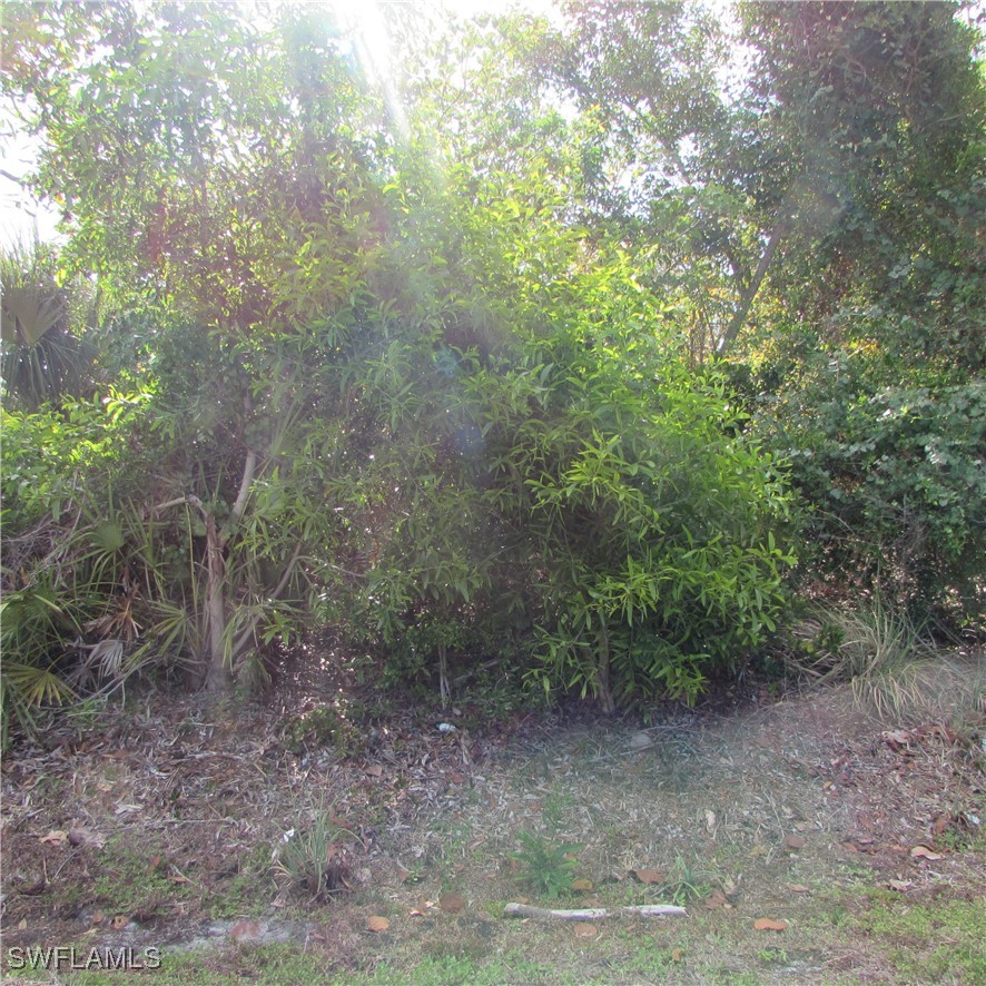 12348 Dolphin RD