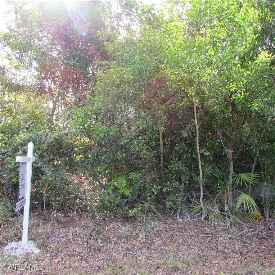 12348 Dolphin RD