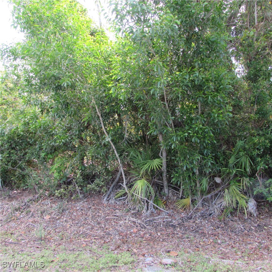 12348 Dolphin RD