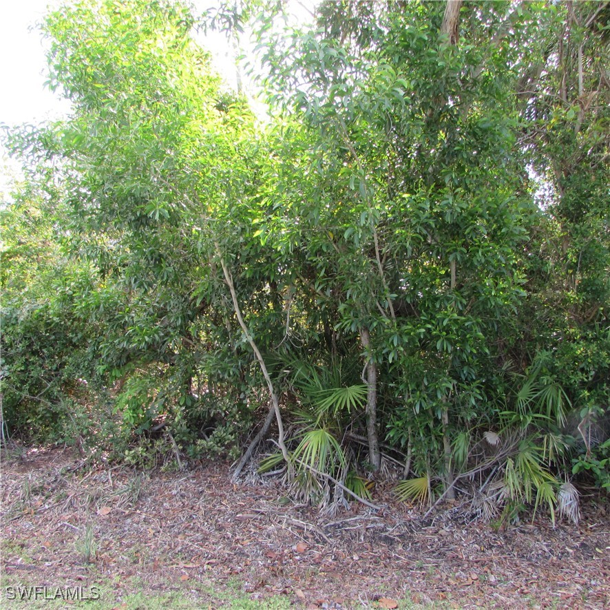 12348 Dolphin RD