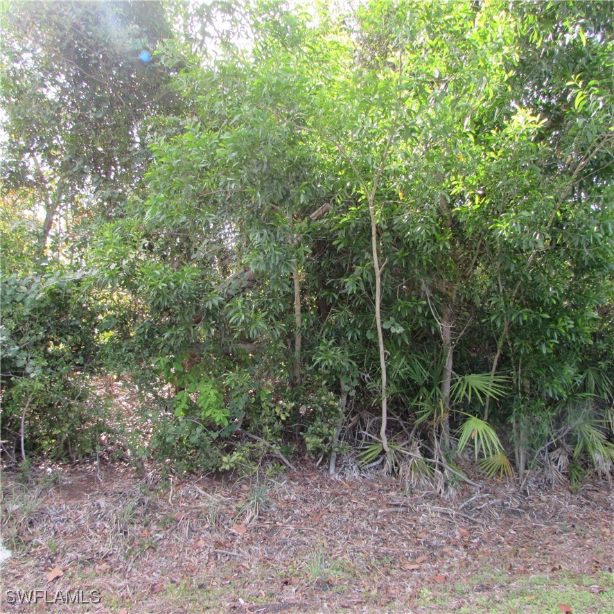 12348 Dolphin RD
