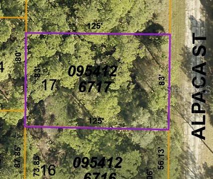 LOT 17 ALPACA ST