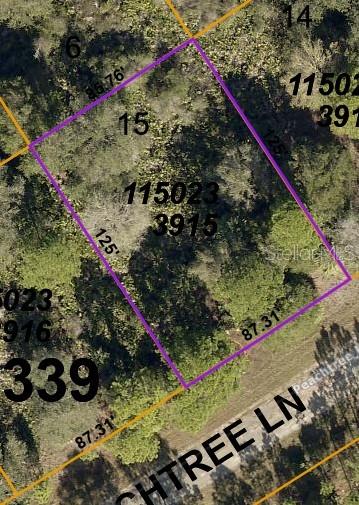LOT 15 PEACHTREE LN