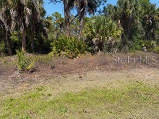 26232 DEER RD