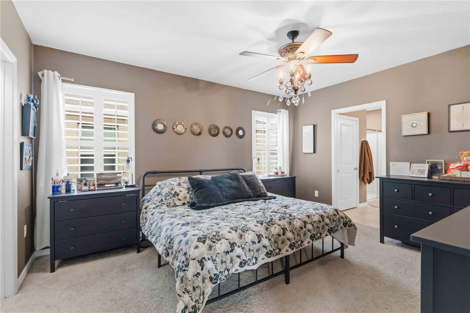 10230 GEESE TRAIL CIR