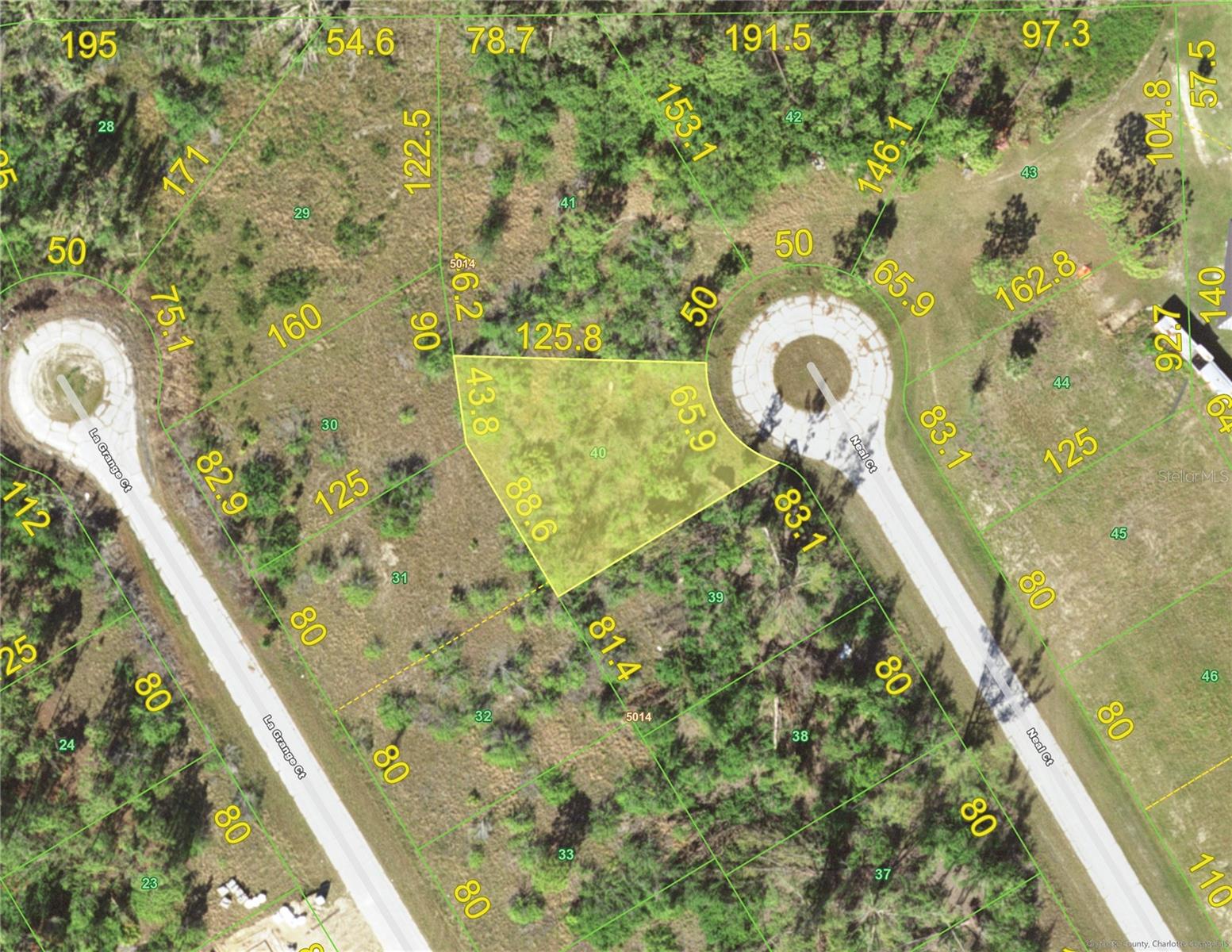 10119 NEAL CT
