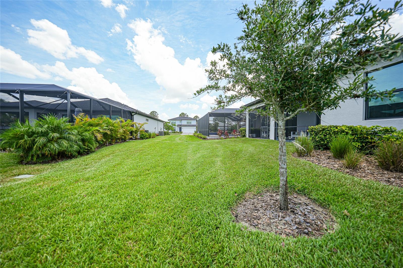 2117 LAURIFOLIA CT