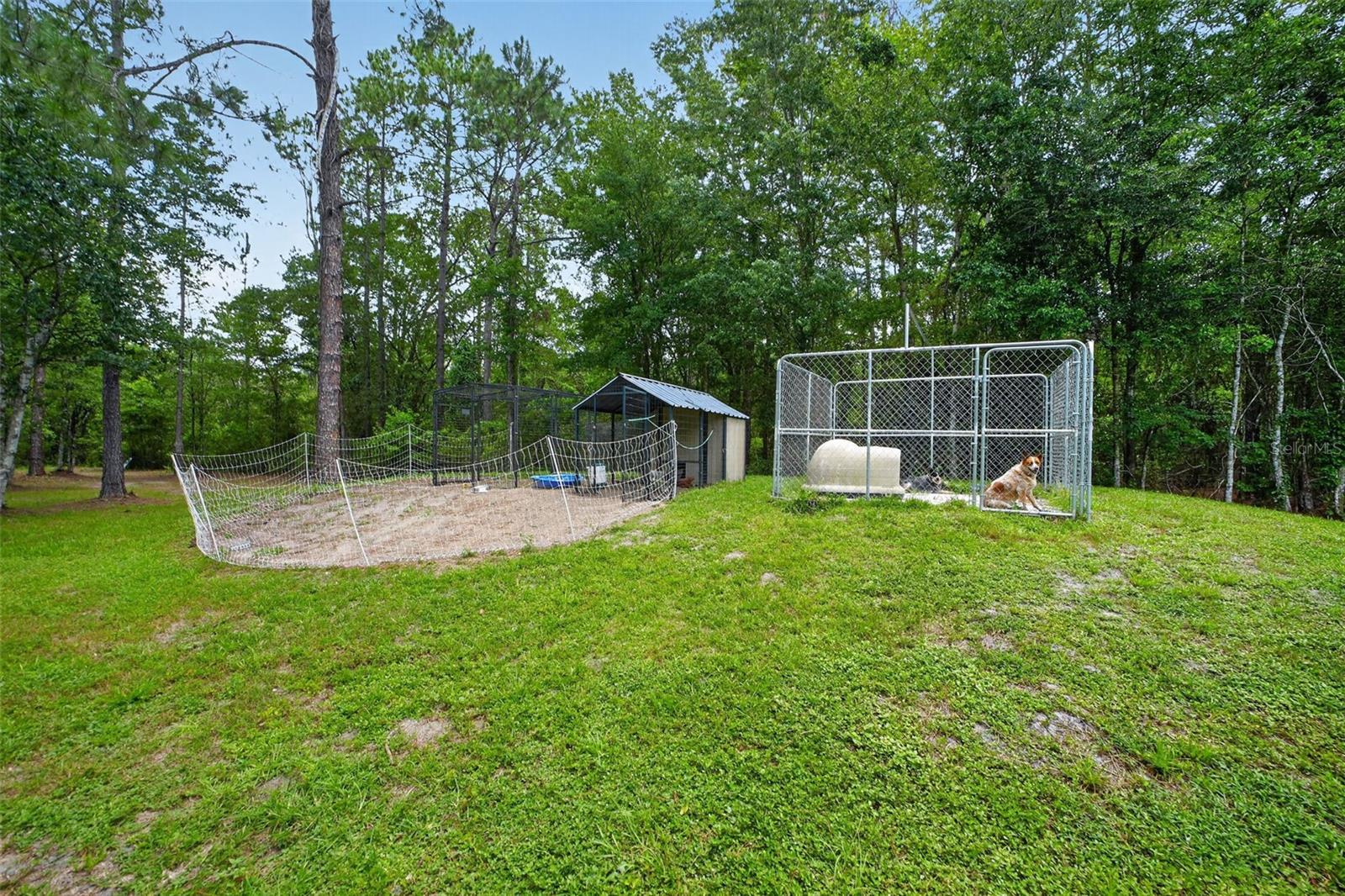 2527 NW COUNTY ROAD 225