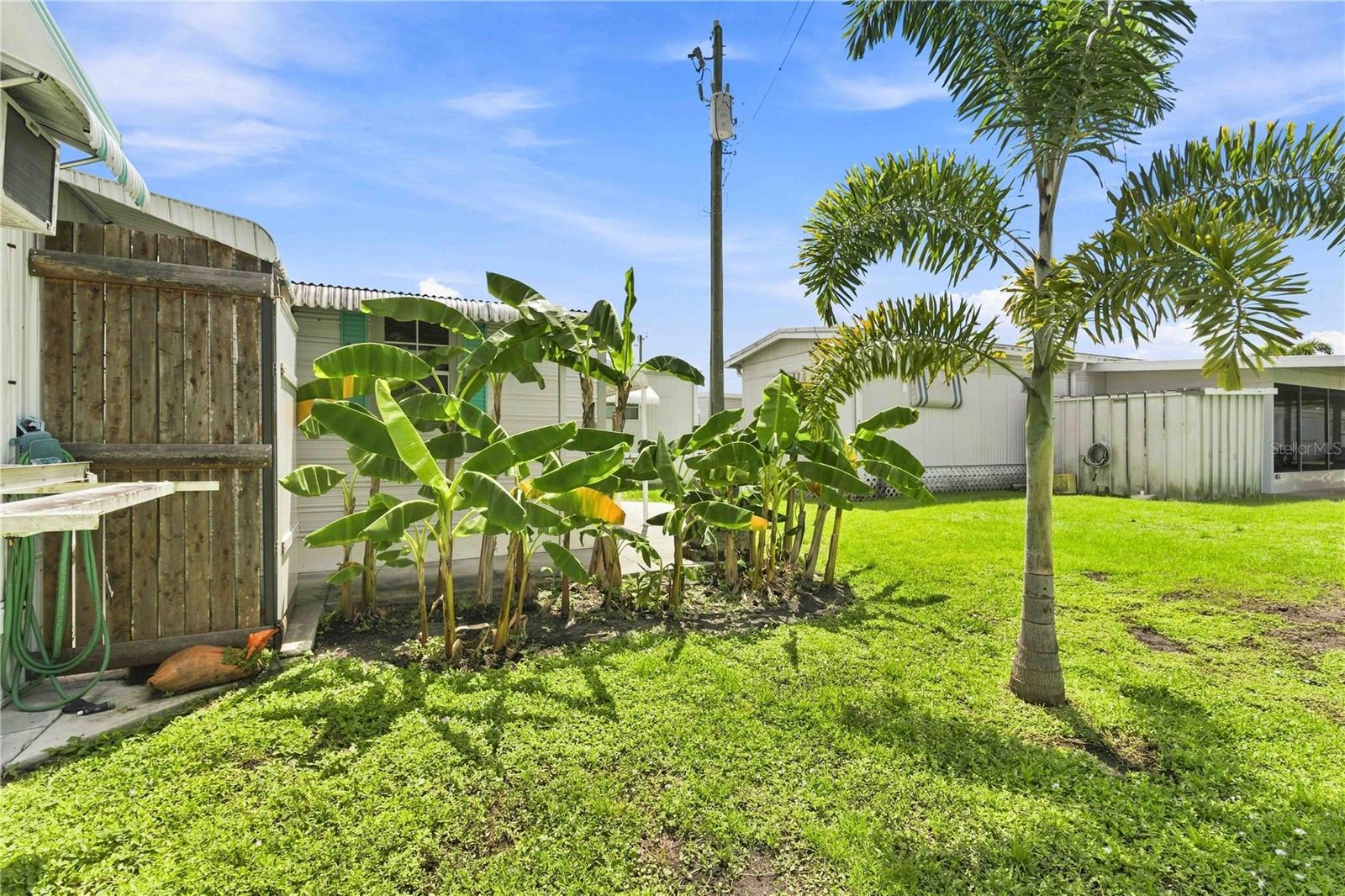3321 CAROL DR