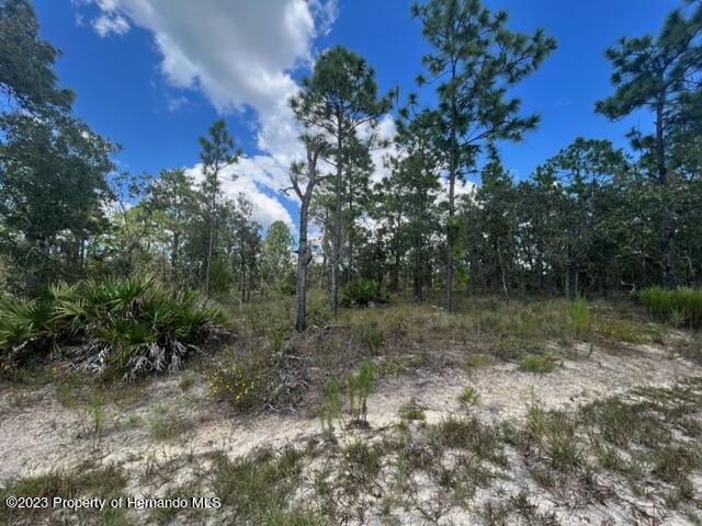 12159 Scarlet Ibis Avenue