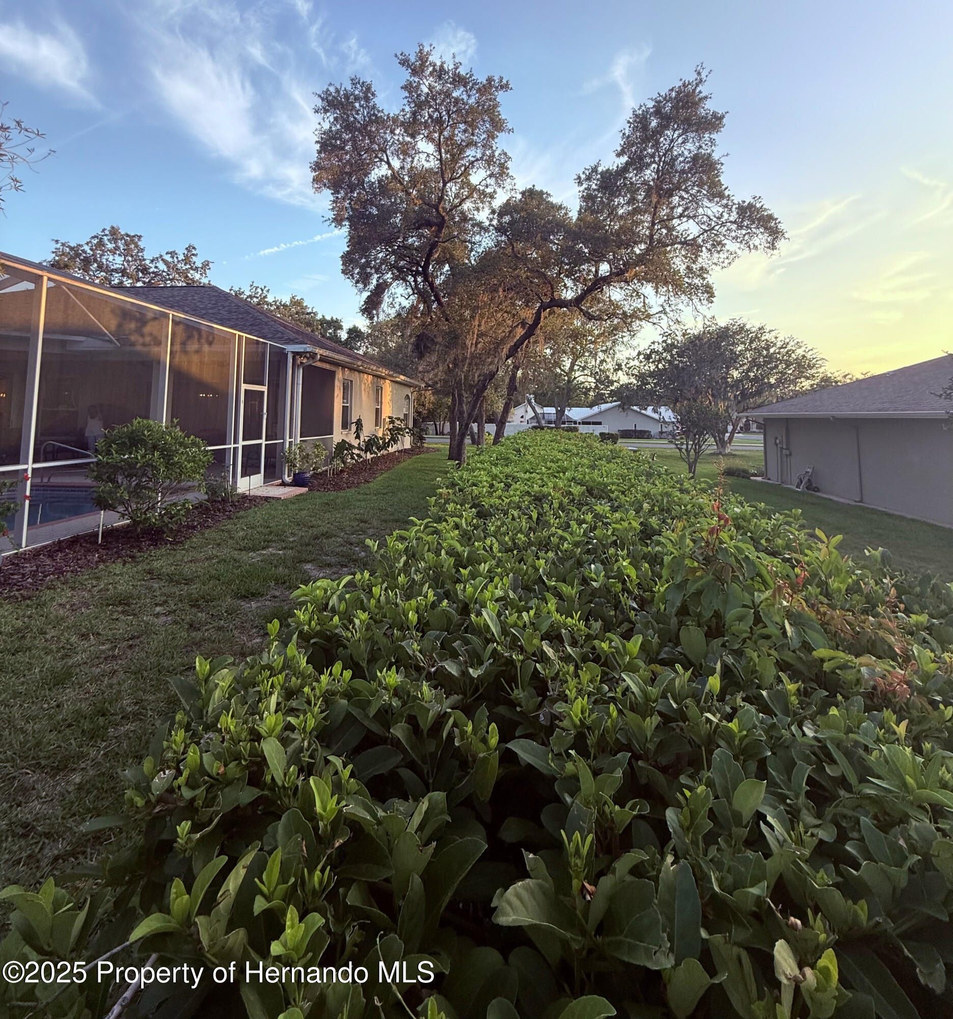 13133 Roseanna Drive