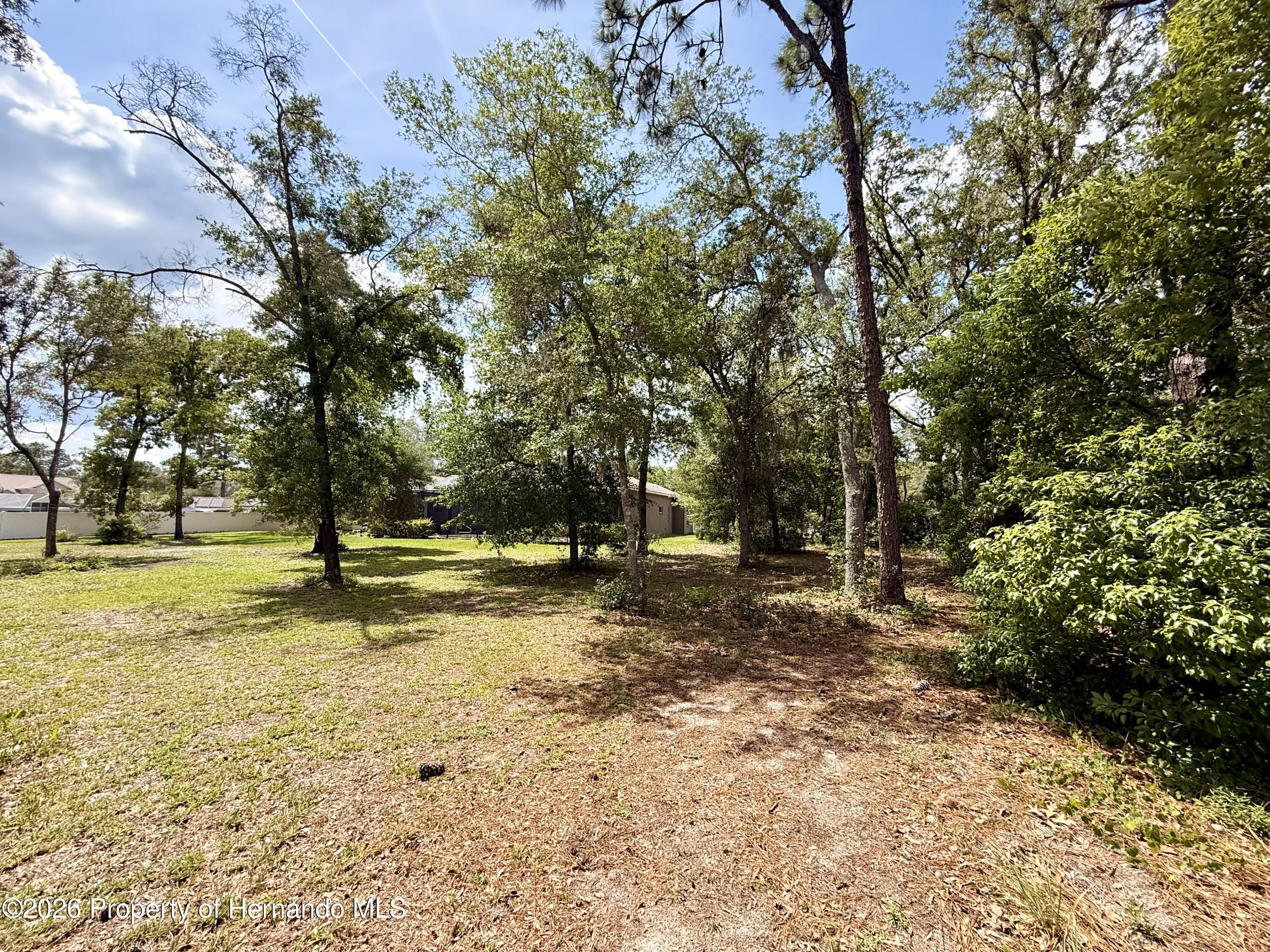 13110 Bamboo Street