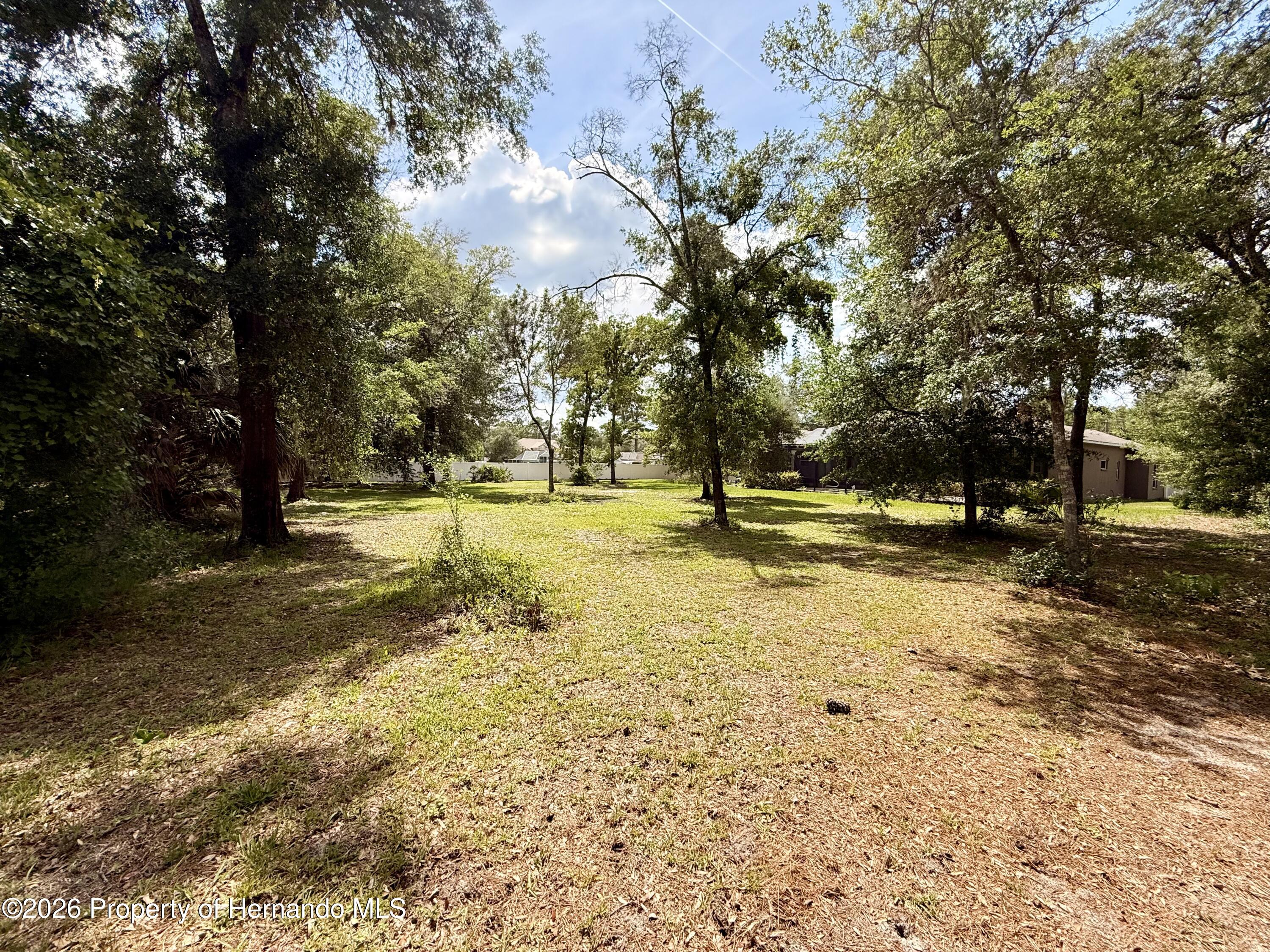 13110 Bamboo Street