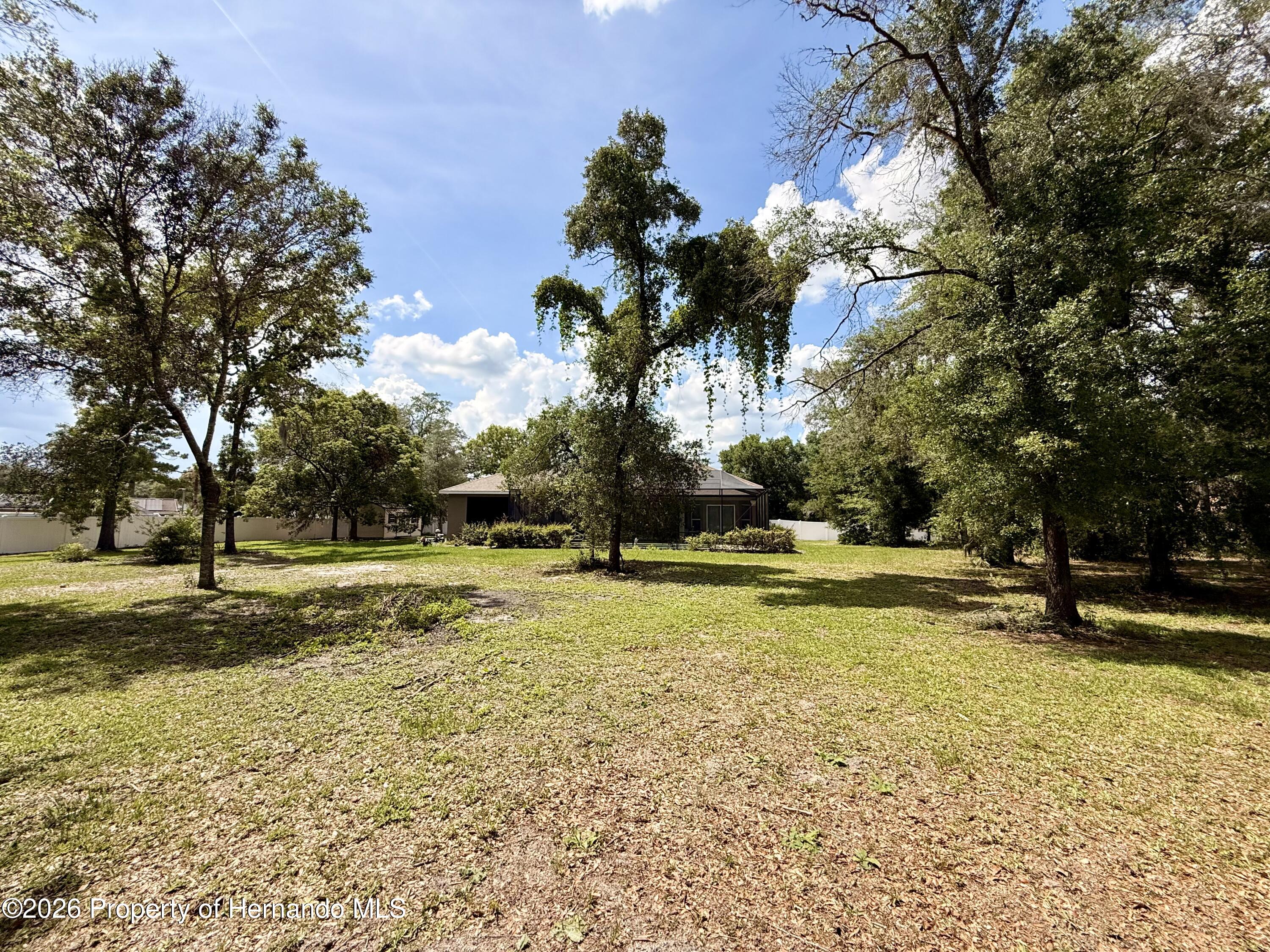 13110 Bamboo Street