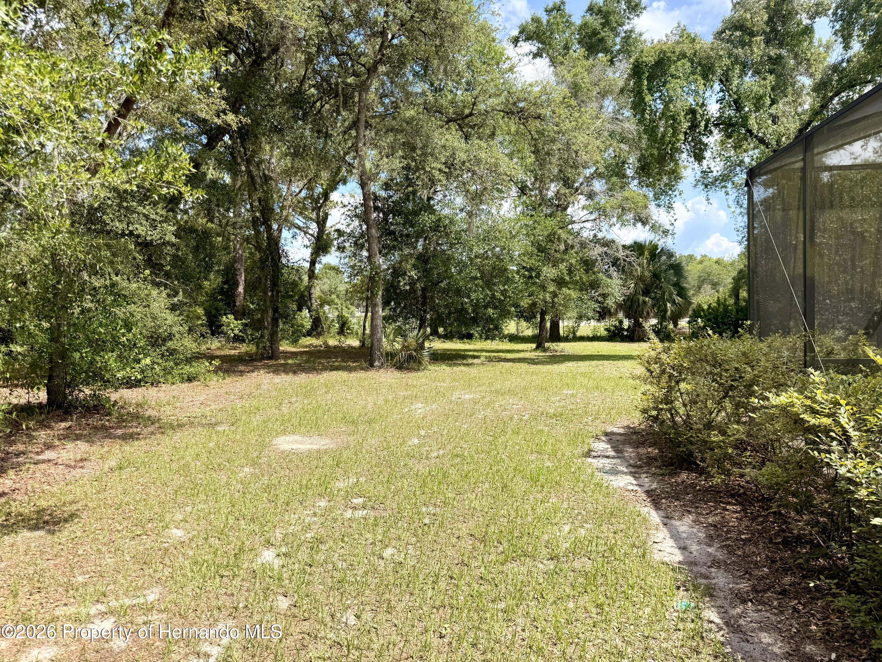 13110 Bamboo Street