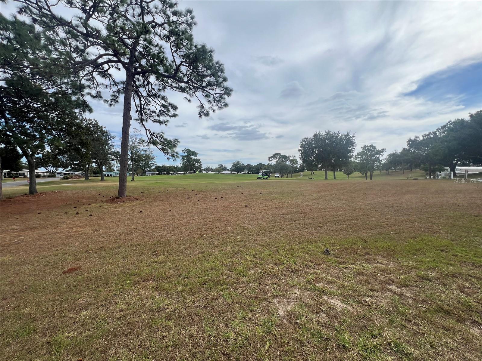 14199 BROOKRIDGE BLVD