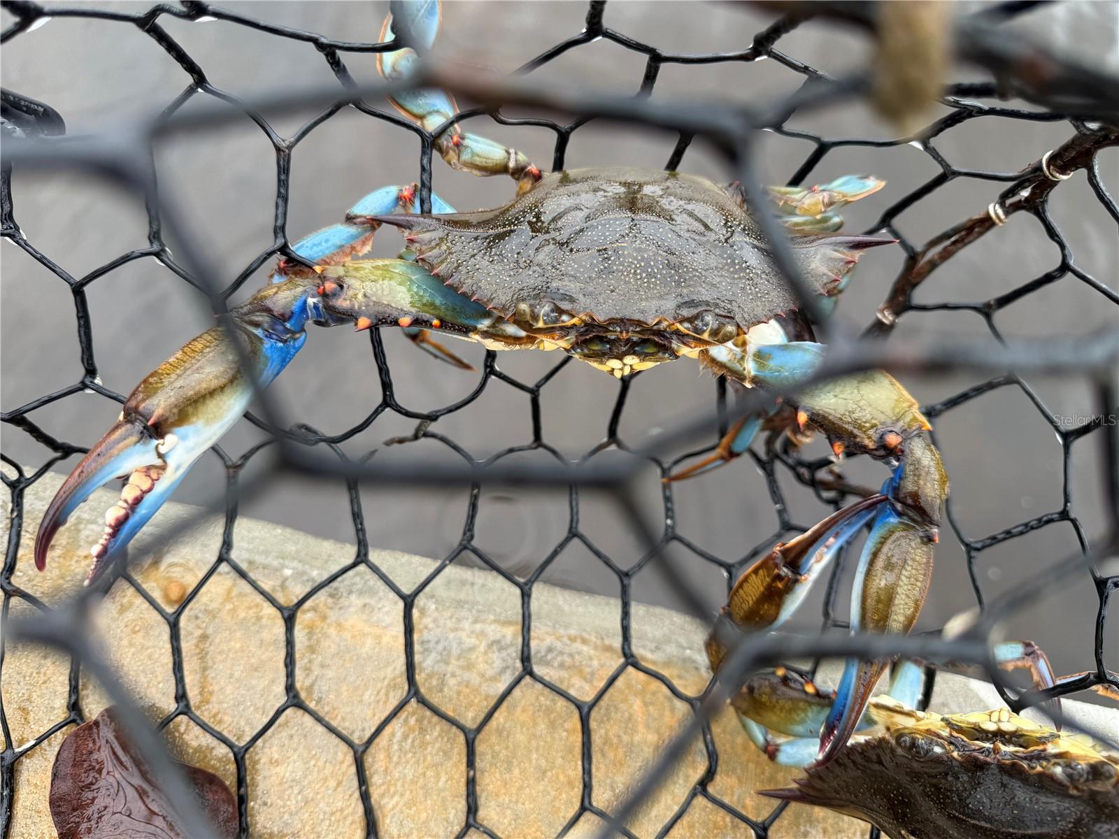 9927 ISLAND HARBOR DR