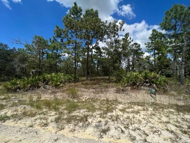 12159 SCARLET IBIS AVE