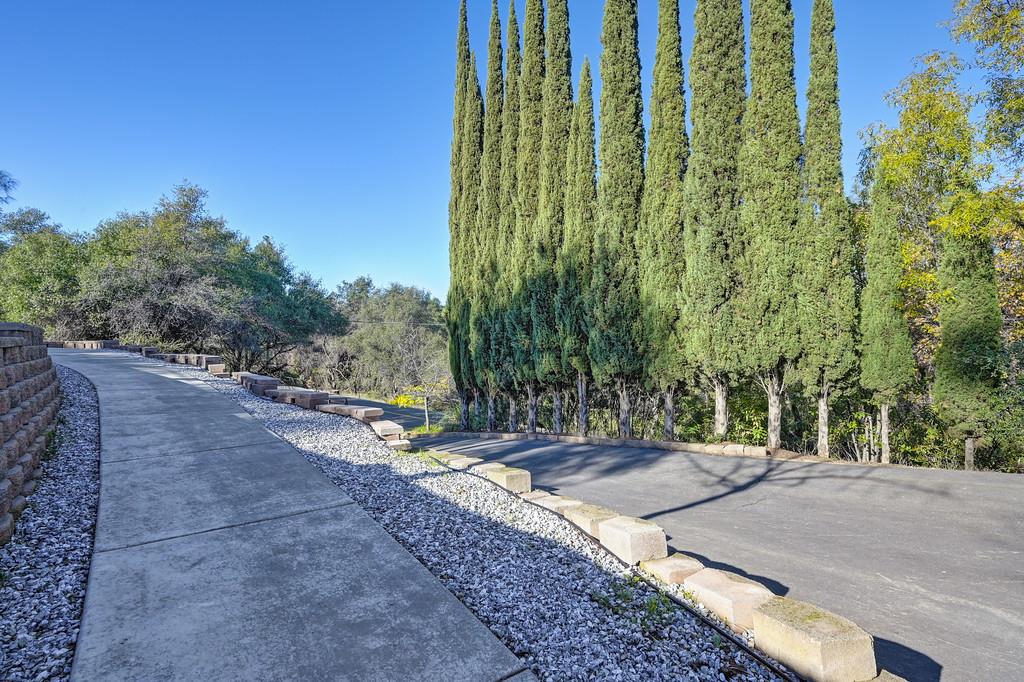1244 Cold Springs