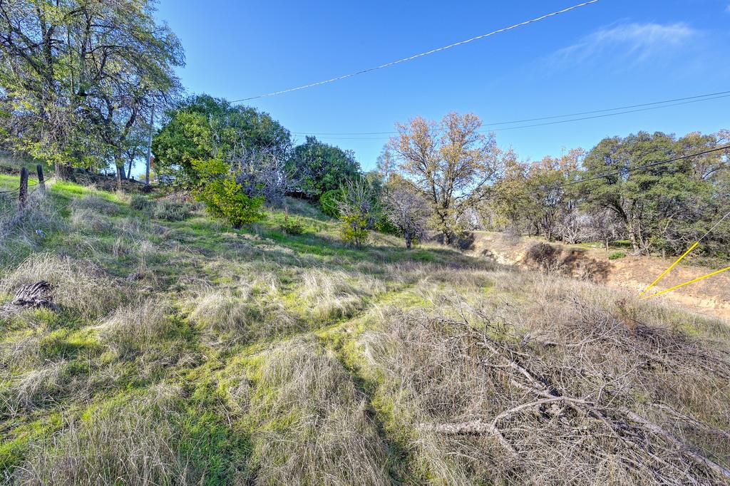 1244 Cold Springs