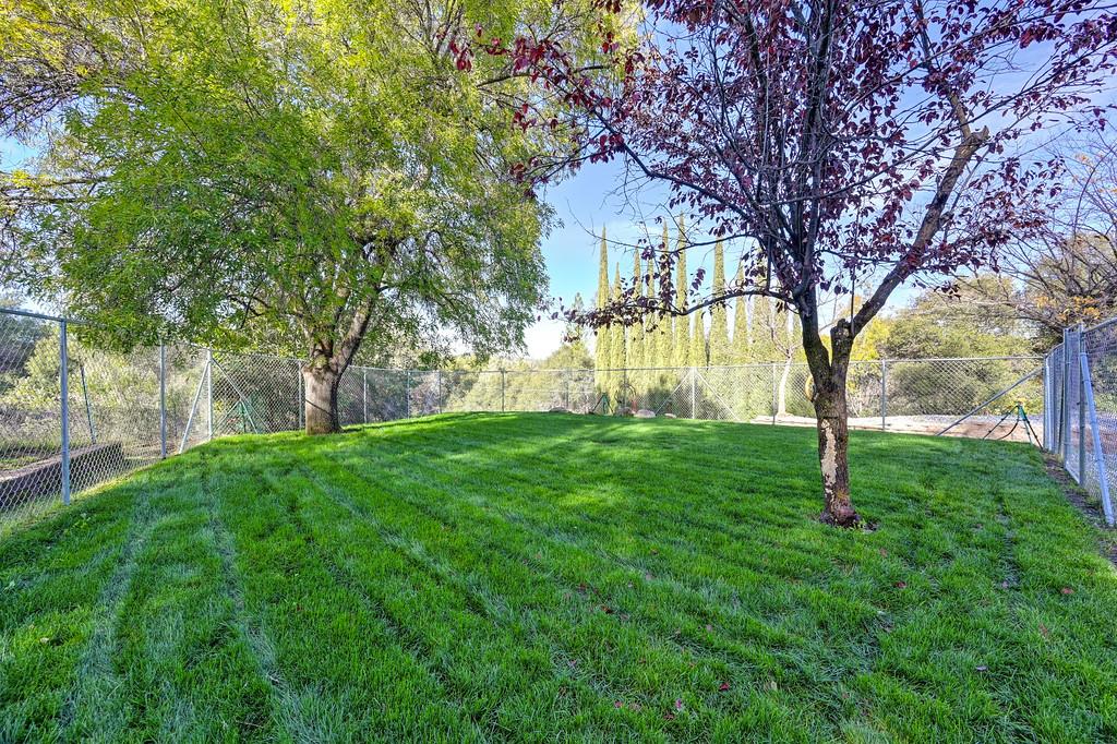 1244 Cold Springs