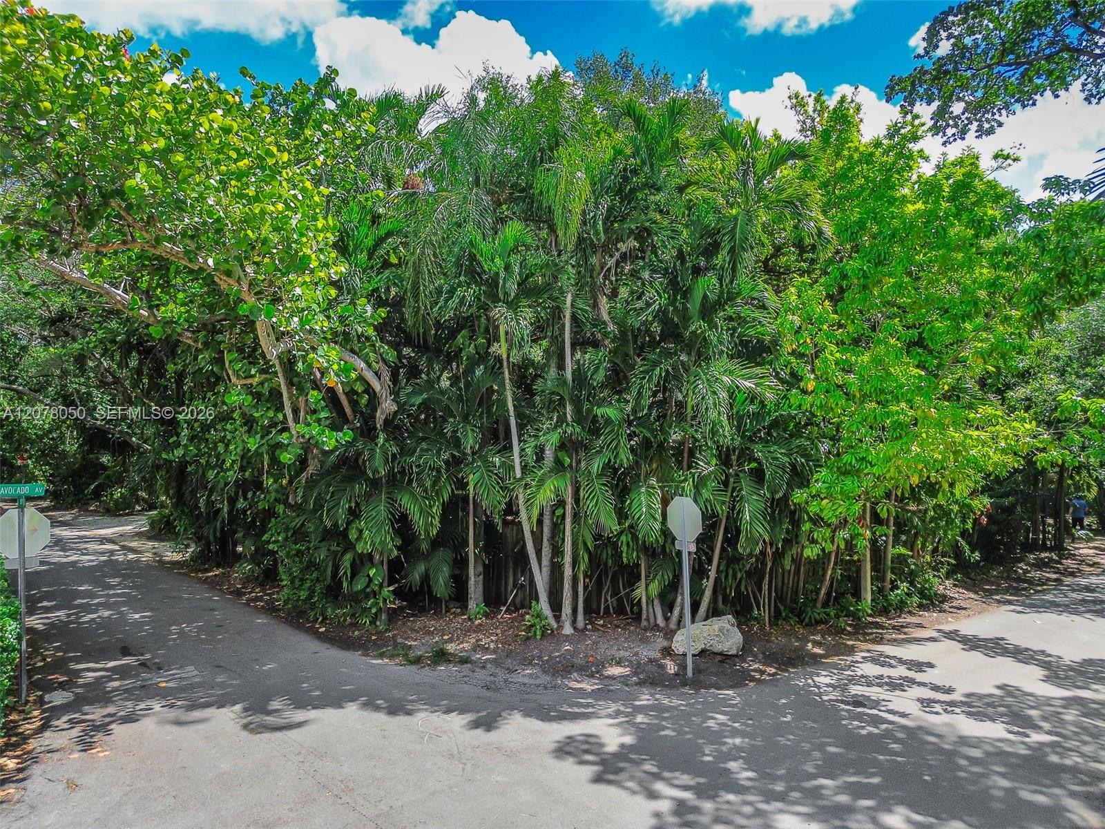 3595 Avocado Ave