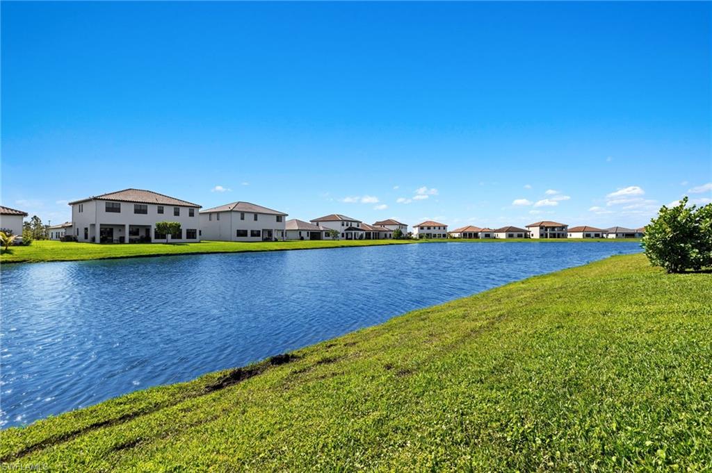 5020 Arancia LN