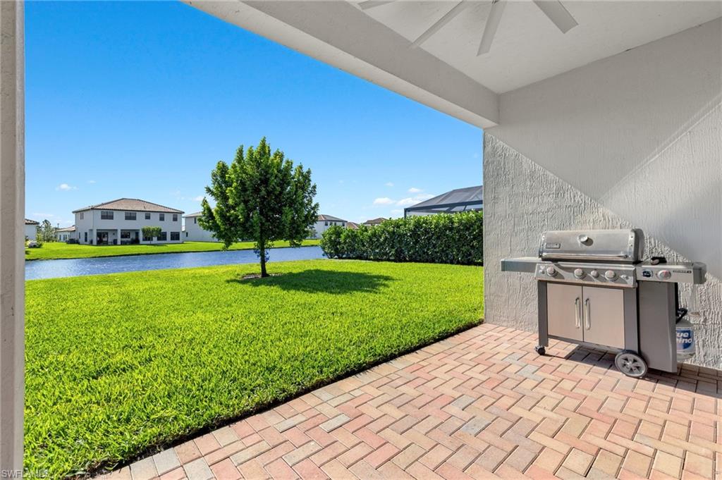 5020 Arancia LN