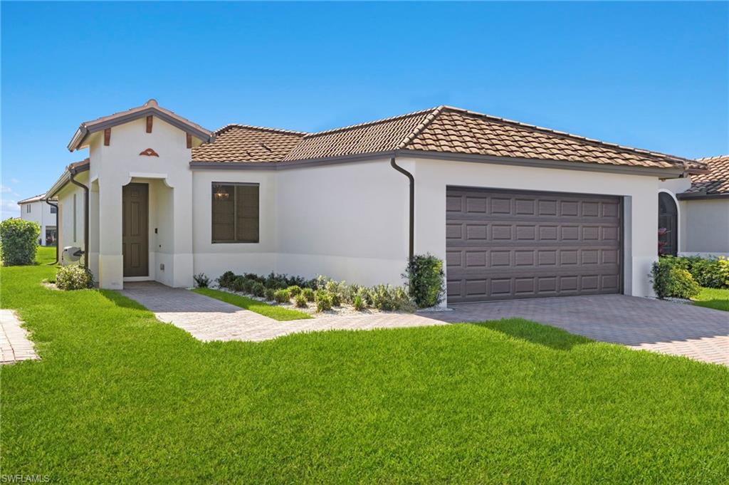 5020 Arancia LN