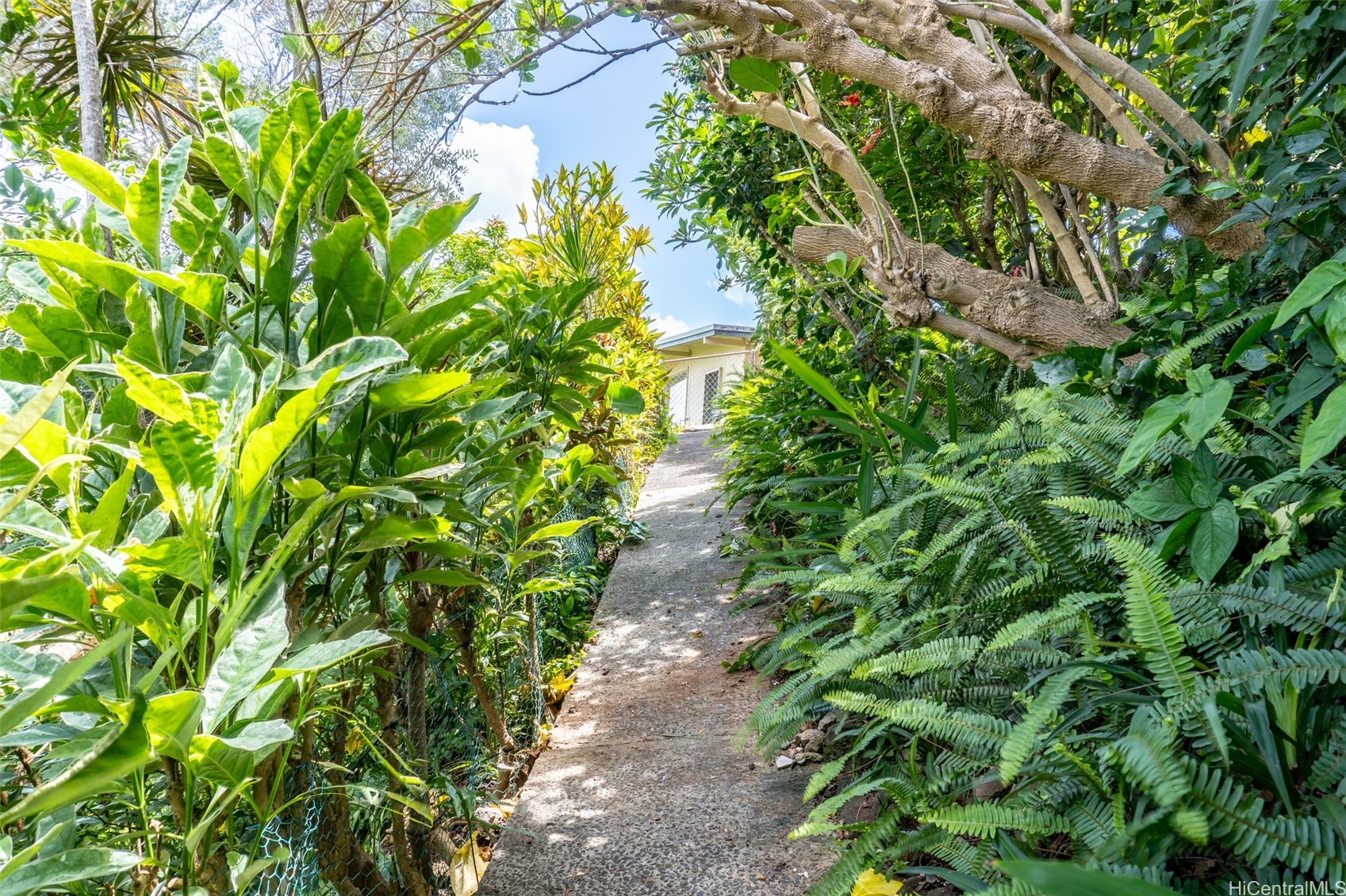 1164 Manulani Street