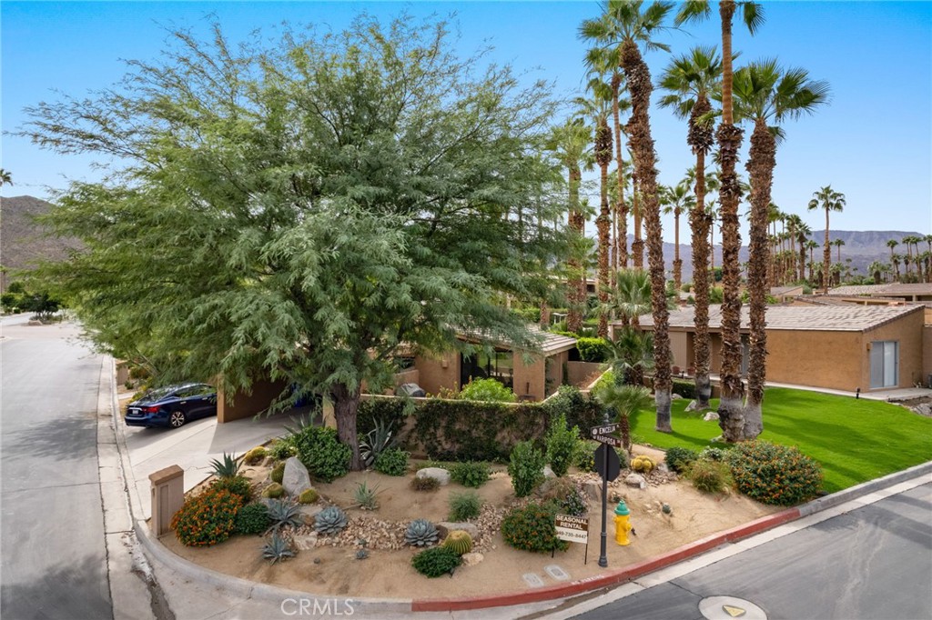 48915 Mariposa Drive