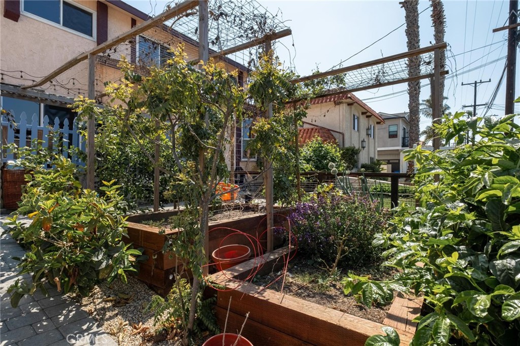 1716 Harriman Lane 1