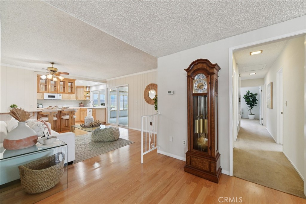 511 Faye Lane